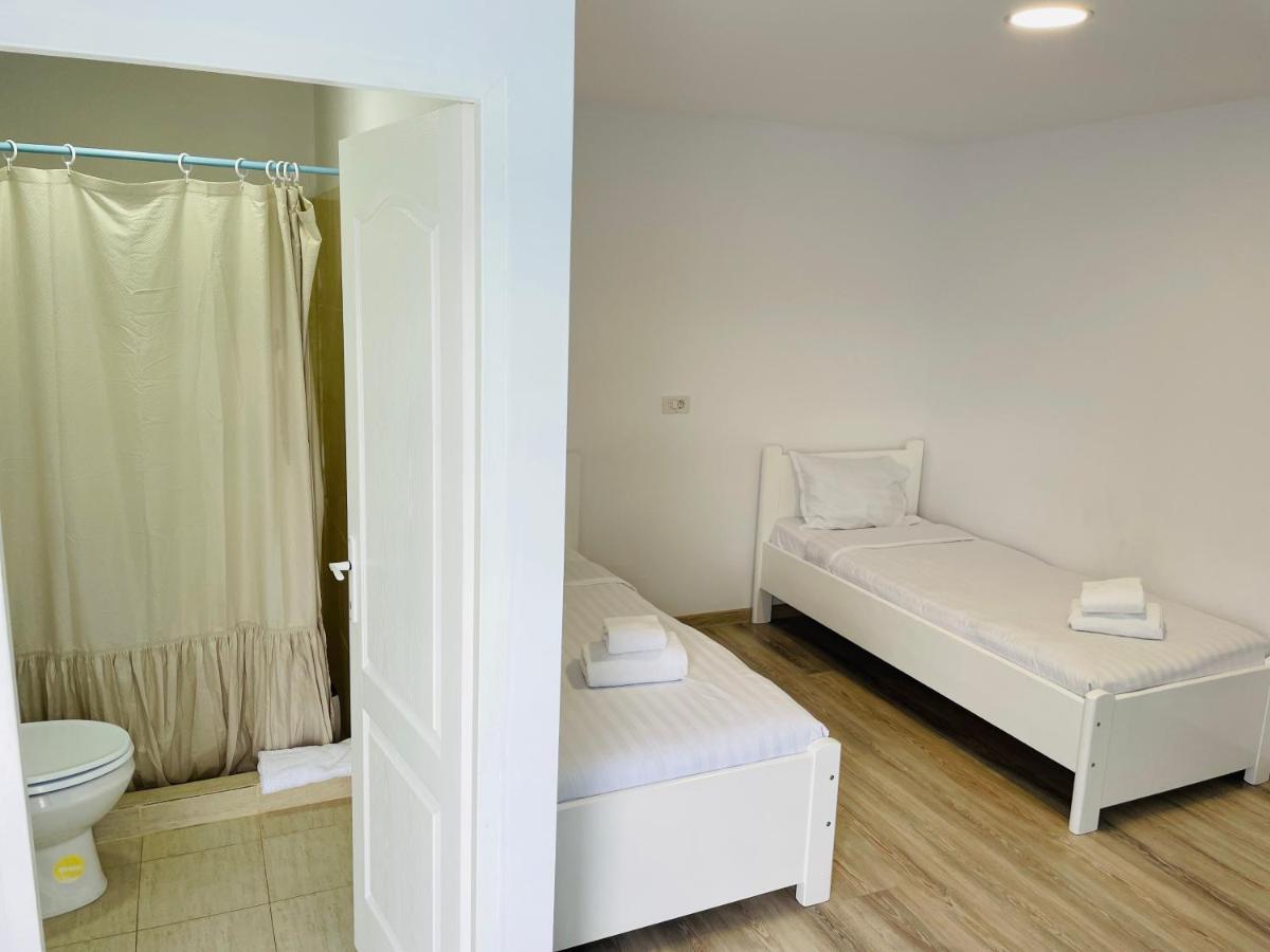 Blue Sky Transalpina Apartment Sasciori Exterior photo